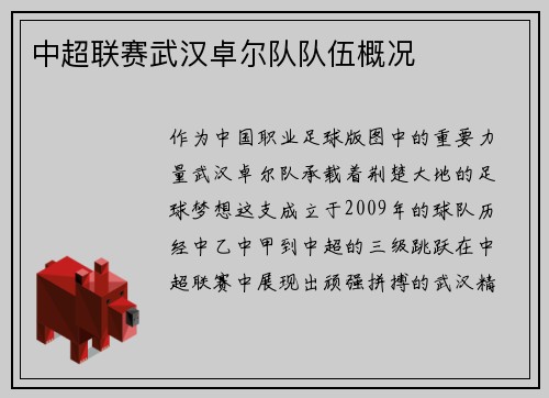 中超联赛武汉卓尔队队伍概况
