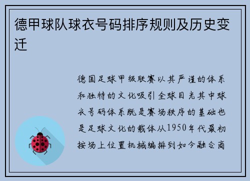 德甲球队球衣号码排序规则及历史变迁